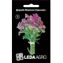 Деревий Вишневая Королева пурпурный многолетник, семена Leda Agro, 0,1 г