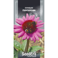 Эхинацея многолетняя пурпурная, семена SeedEra, 0,3 г