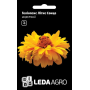 Гелиопсис Летнее Солнце пышный многолетний, семена Leda Agro, 0,2 г