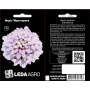 Иберис Гибралтарика сиреневый многолетник, семена Leda Agro, 0,3 г