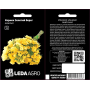 Кермек Золотой берег желтый сухоцвет, семена Leda Agro, 0,15 г