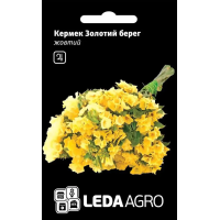 Кермек Золотой берег желтый сухоцвет, семена Leda Agro, 0,15 г