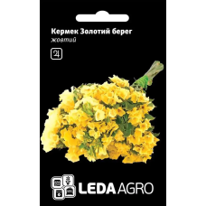 Кермек Золотой берег желтый сухоцвет, семена Leda Agro, 0,15 г