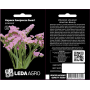 Кермек Американ Бьюті рожевий на сухоцвіт, насіння Leda Agro, 0,15 г