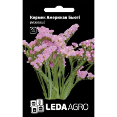 Кермек Американ Бьюті рожевий на сухоцвіт, насіння Leda Agro, 0,15 г