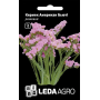 Кермек Американ Бьюті рожевий на сухоцвіт, насіння Leda Agro, 0,15 г