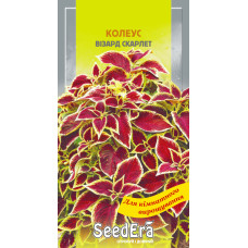 Колеус Визард Скарлет красно-зеленый, семена SeedEra, 10 шт