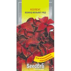 Колеус Визард Вельвет Ред красный, семена SeedEra, 10 шт