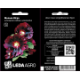 Мальва Нигра шоколадная многолетняя, семена Leda Agro, 0,3 г