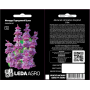 Монарда Пурпурная Сирень лимонная, семена Leda Agro, 0,3 г
