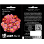 Хризантема Робинзон Пиретрум смесь, семена Leda Agro, 0,4 г