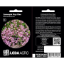 Сапонария Роуз Пинк базиликолистый многолетняя, насіння Leda Agro, 0,3 г