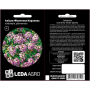 Алисум Фиолетовая Королева низкорослые кустики, семена Leda Agro, 0,2 г