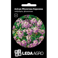 Алисум Фиолетовая Королева низкорослые кустики, семена Leda Agro, 0,2 г