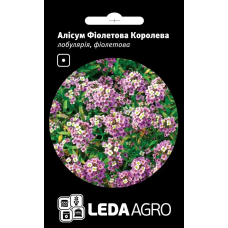 Алисум Фиолетовая Королева низкорослые кустики, семена Leda Agro, 0,2 г Алисум Фиолетовая Королева низкорослые кустики, семена Leda Agro, 0,2 г