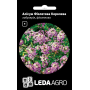 Алисум Фиолетовая Королева низкорослые кустики, семена Leda Agro, 0,2 г