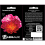 Ешольция Балерина низкорослые травянистые однолетки, семена Leda Agro, 0,1 г