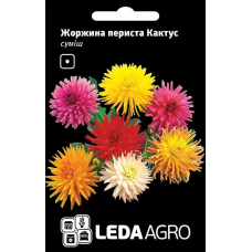 Георгина Кактус перистая, смесь, семена Leda Agro, 0,2 г