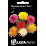 Георгина Кактус перистая, смесь, семена Leda Agro, 0,2 г
