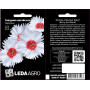 Гвоздика Карусель китайская бело-красная, семена Leda Agro, 0,1 г