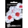 Гвоздика Карусель китайская бело-красная, семена Leda Agro, 0,1 г