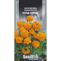Чернобривцы Купид Оранж низкорослые кустики, семена SeedEra, 0,5 г