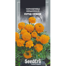 Чернобривцы Купид Оранж низкорослые кустики, семена SeedEra, 0,5 г