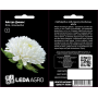 Астра Дюшес белая пионовидная, семена Leda Agro, 0,2 г
