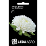 Астра Дюшес белая пионовидная, семена Leda Agro, 0,2 г