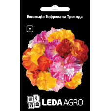 Эшольция Гофрованая Роза низкая однолетка, семена Leda Agro, 0,1 г