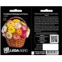 Гелихризум Швейцарские гиганты смесь, на сухоцвет, семена Leda Agro, 0,2 г