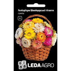 Гелихризум Швейцарские гиганты смесь, на сухоцвет, семена Leda Agro, 0,2 г