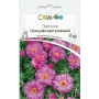 Портулак Грандифлора розовый, семена Садиба, 0,02 г