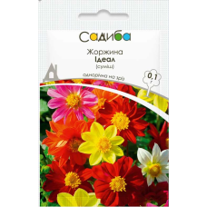 Георгина Идеал одиночная на срез, смесь, семена Садиба, 0,1 г