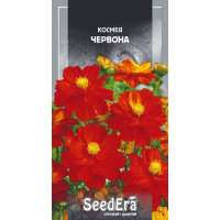 Космея Червона однорічний кущ, насіння SeedEra, 0,5 г
