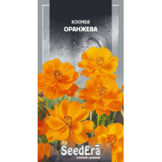 Космея Оранжевая однолетний куст, семена SeedEra, 0,5 г
