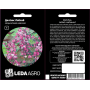 Фасоль гиацинтовая Долихос Лаблаб розовая, семена Leda Agro, 1 г