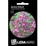Фасоль гиацинтовая Долихос Лаблаб розовая, семена Leda Agro, 1 г