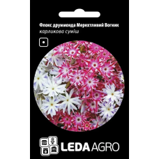 Флокс лруммонда Мерехтливий Вогник карликовая розово-белая смесь, семена Leda Agro, 0,2 г