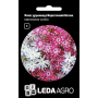 Флокс лруммонда Мерехтливий Вогник карликовая розово-белая смесь, семена Leda Agro, 0,2 г