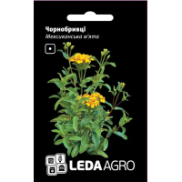 Чернобривцы Мексиканская Мята, однолетний пряный цветок, семена Leda Agro, 0,15 г