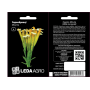 Чернобривцы Мінута пряно-вкусовая однолетка, семена Leda Agro, 0,3 г