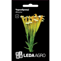 Чернобривцы Мінута пряно-вкусовая однолетка, семена Leda Agro, 0,3 г