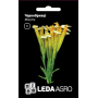 Чернобривцы Мінута пряно-вкусовая однолетка, семена Leda Agro, 0,3 г