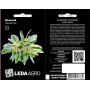 Молочай Ранний Снег однолетний, семена Leda Agro, 0,2 г