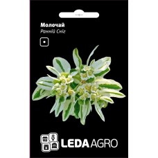 Молочай Ранний Снег однолетний, семена Leda Agro, 0,2 г