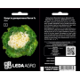 Капуста декоративная Нагоя F1 белая, семена Leda Agro, 10 шт