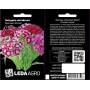 Гвоздика китайская Персидский Ковер смесь, семена Leda Agro, 0,1 г