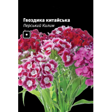 Гвоздика китайская Персидский Ковер смесь, семена Leda Agro, 0,1 г