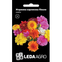 Георгина Пикколо карликовая однолетняя, смесь, семена Leda Agro, 0,2 г